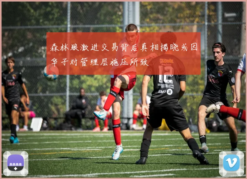森林狼激进交易背后真相揭晓或因华子对管理层施压所致