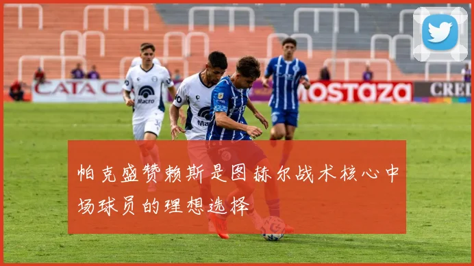 帕克盛赞赖斯是图赫尔战术核心中场球员的理想选择