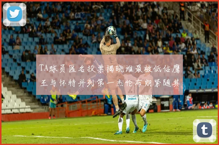 TA球员匿名投票揭晓谁最被低估鹰王与怀特并列第一杰伦布朗紧随其后